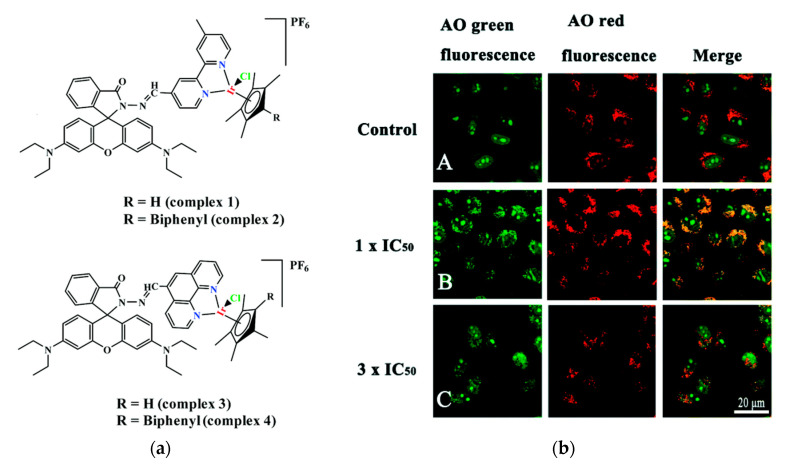 Figure 12