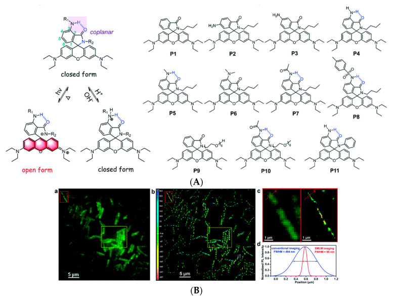 Figure 21