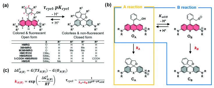 Figure 30