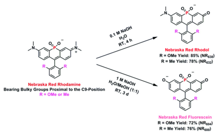 Figure 28