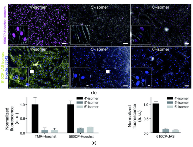 Figure 23