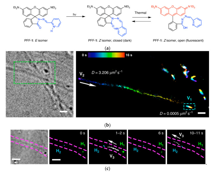 Figure 22