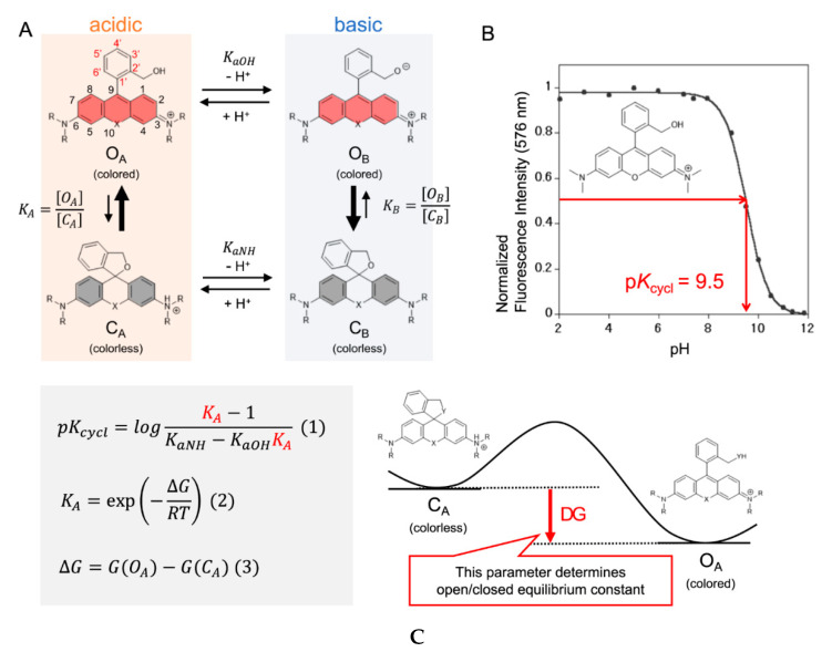 Figure 29