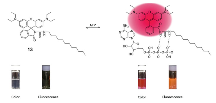 Figure 17