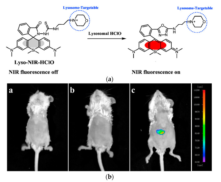 Figure 19