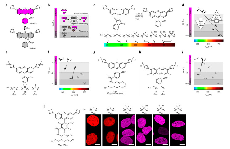 Figure 24