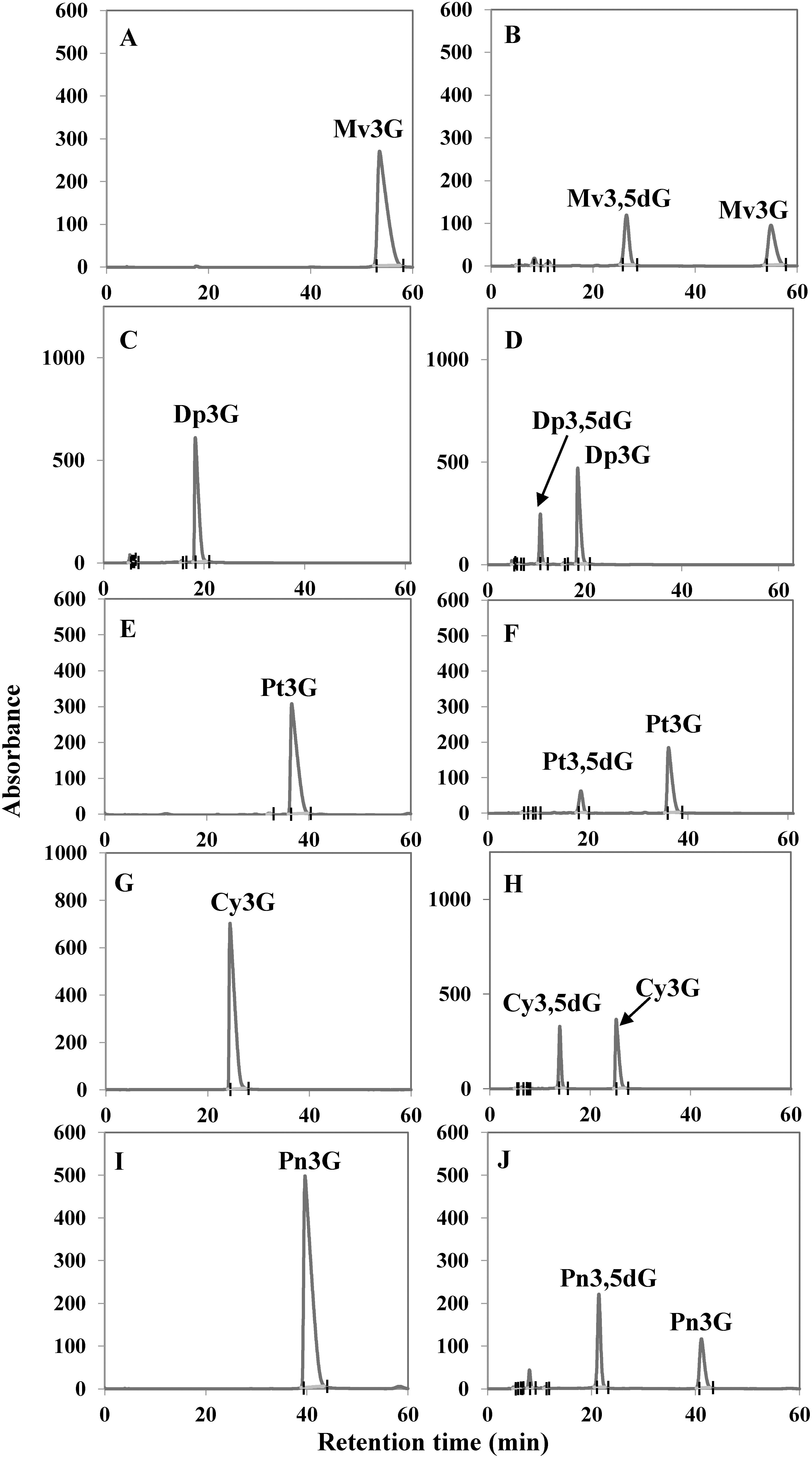 Figure 4. HPLC analysis of Cpur5GT reaction products obtained from the in vitro enzyme assay. (A–J) Five potential substrates including Mv3G (A, B), Dp3G (C, D), Pt3G (E, F), Cy3G (G, H), and Pn3G (I, J) were incubated without (A, C, E, G, I) or with (B, D, F, H, J) the purified Cpur5GT. UDP-glucose was used as the sugar donor.