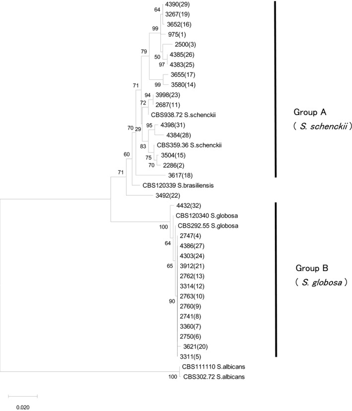 FIGURE 2