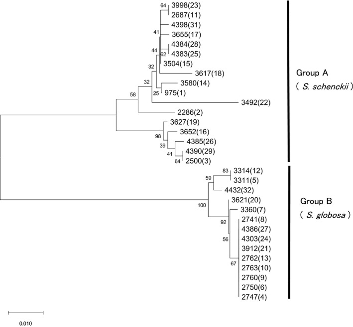 FIGURE 3