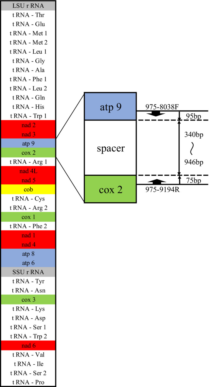 FIGURE 1