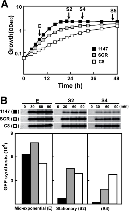 FIG. 3.