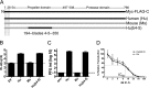 FIG 1