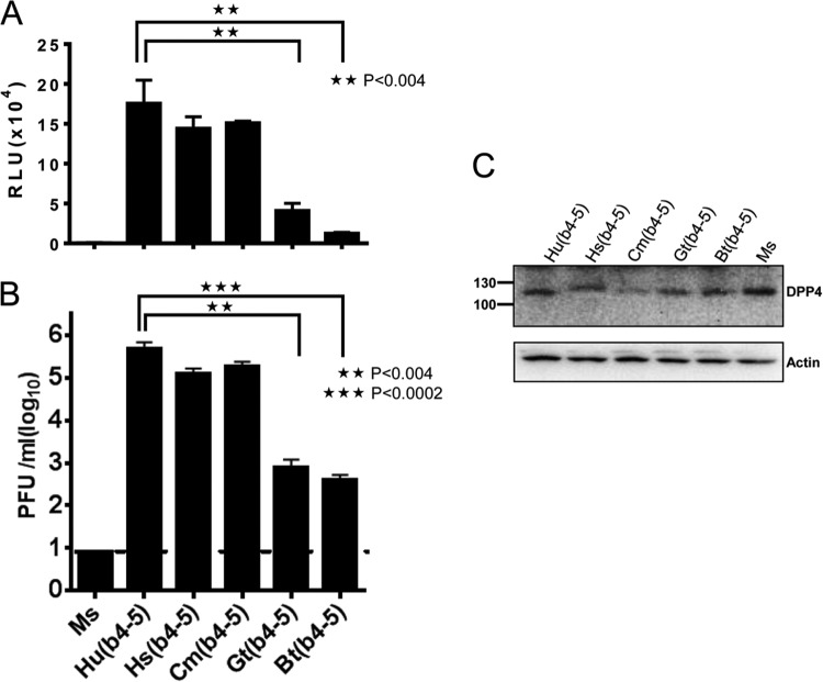 FIG 4