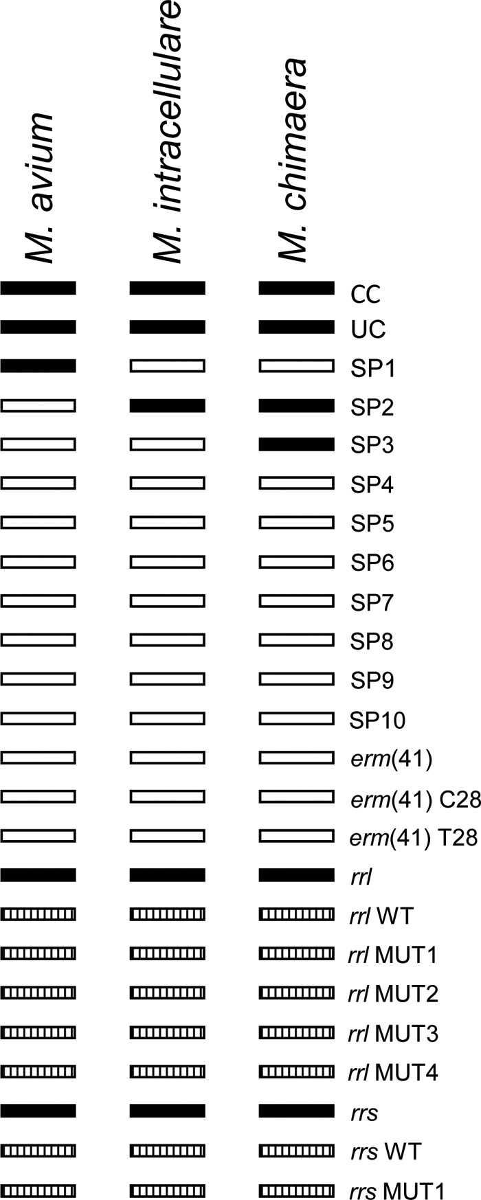 FIG 2