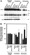 Fig. 9.