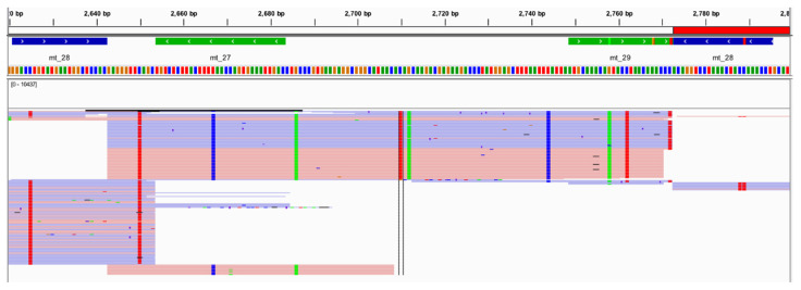 Figure 12