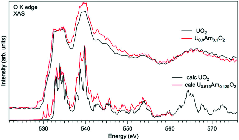 Fig. 11