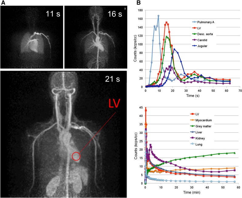 FIGURE 4.