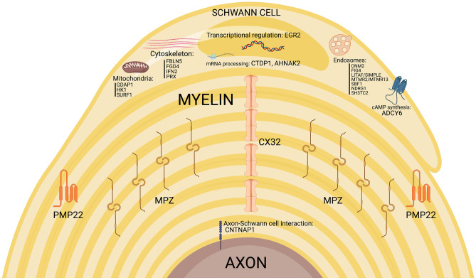 Fig. 1