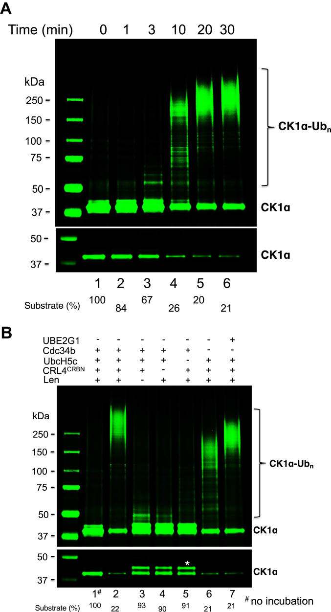 Figure 1