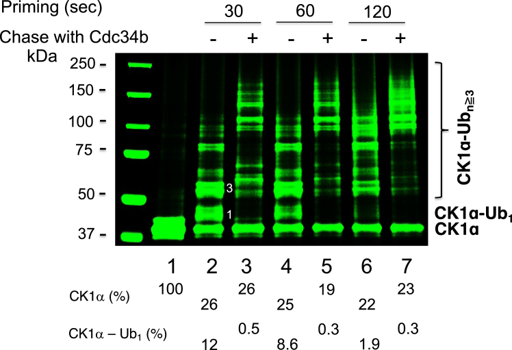 Figure 5