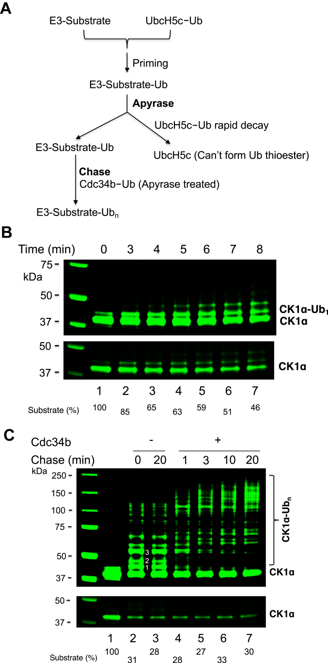 Figure 3