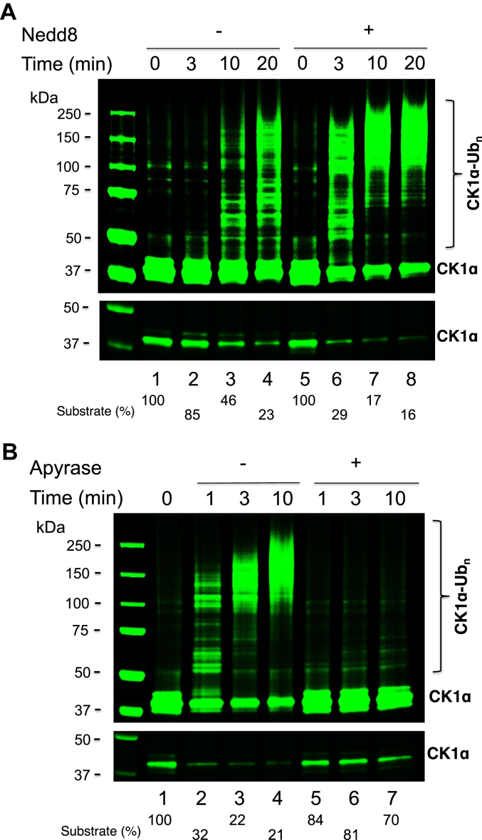 Figure 4