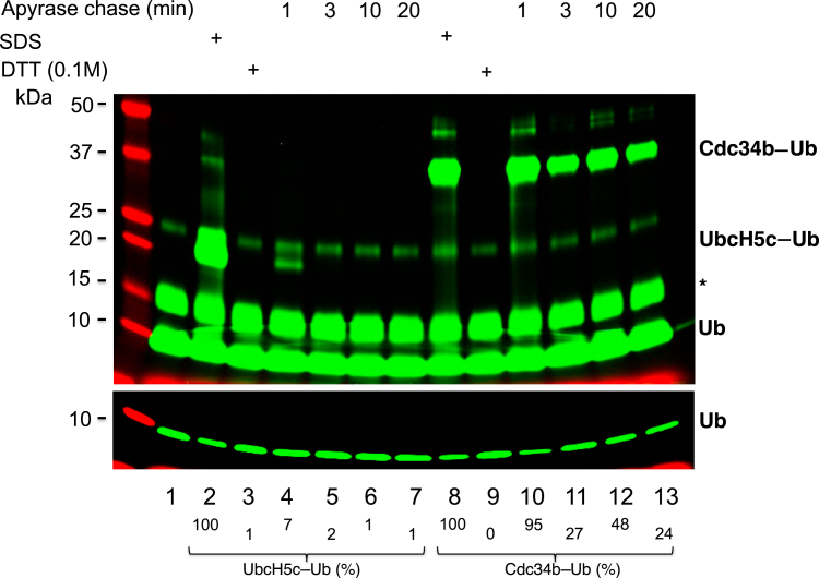 Figure 2