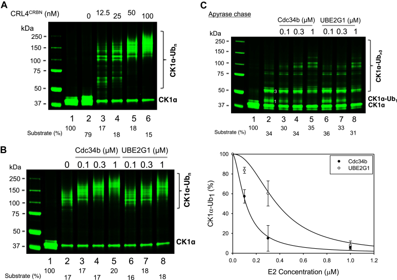 Figure 6