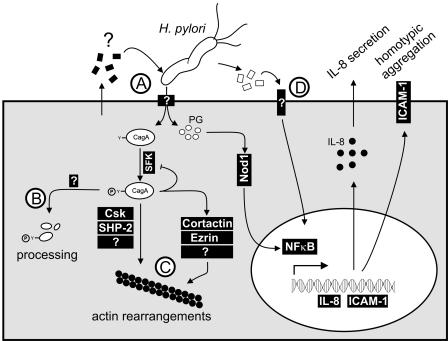 FIG. 4.