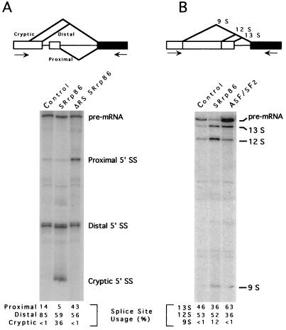 FIG. 6