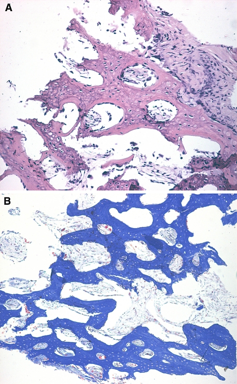 Fig. 7