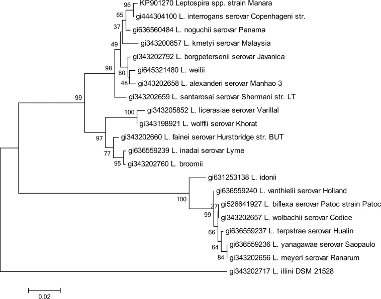 Fig 3