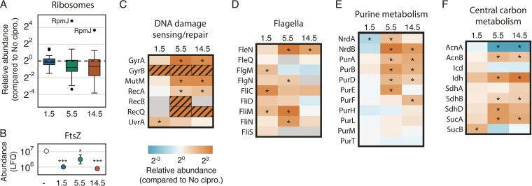 FIG 4 