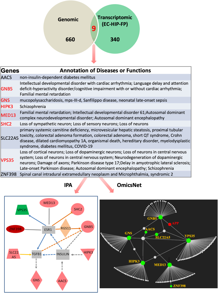 Figure 3