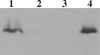 FIG. 8.