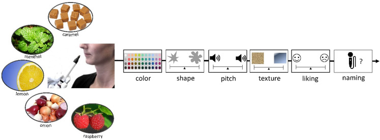 Figure 13.