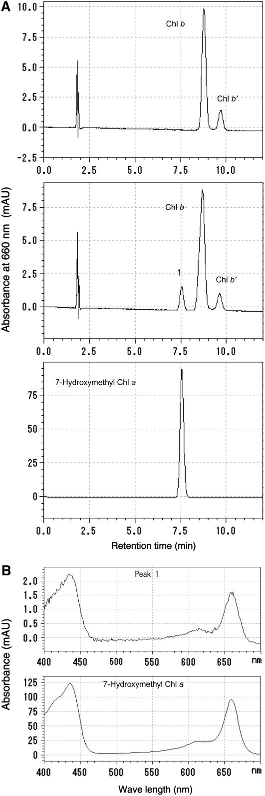 Figure 9.