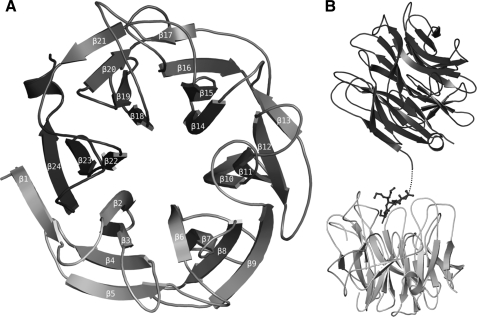 FIGURE 3.