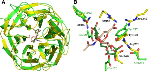 FIGURE 7.