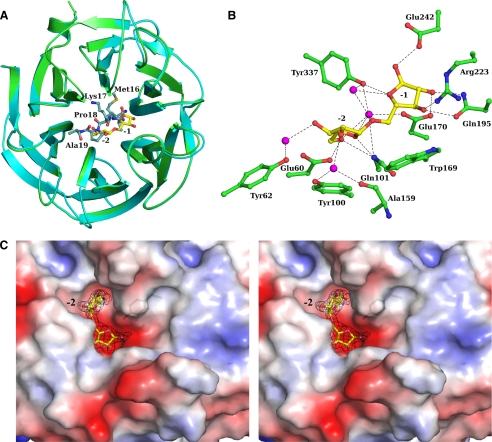 FIGURE 4.