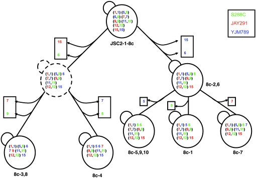 Figure 7.—