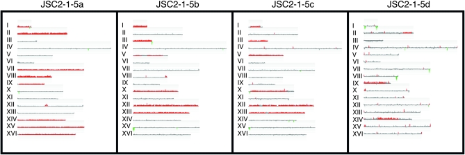 Figure 4.—