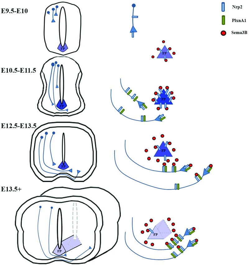 Figure 7.