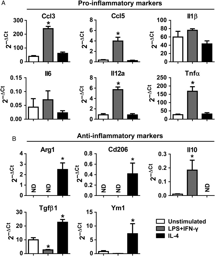 Figure 4