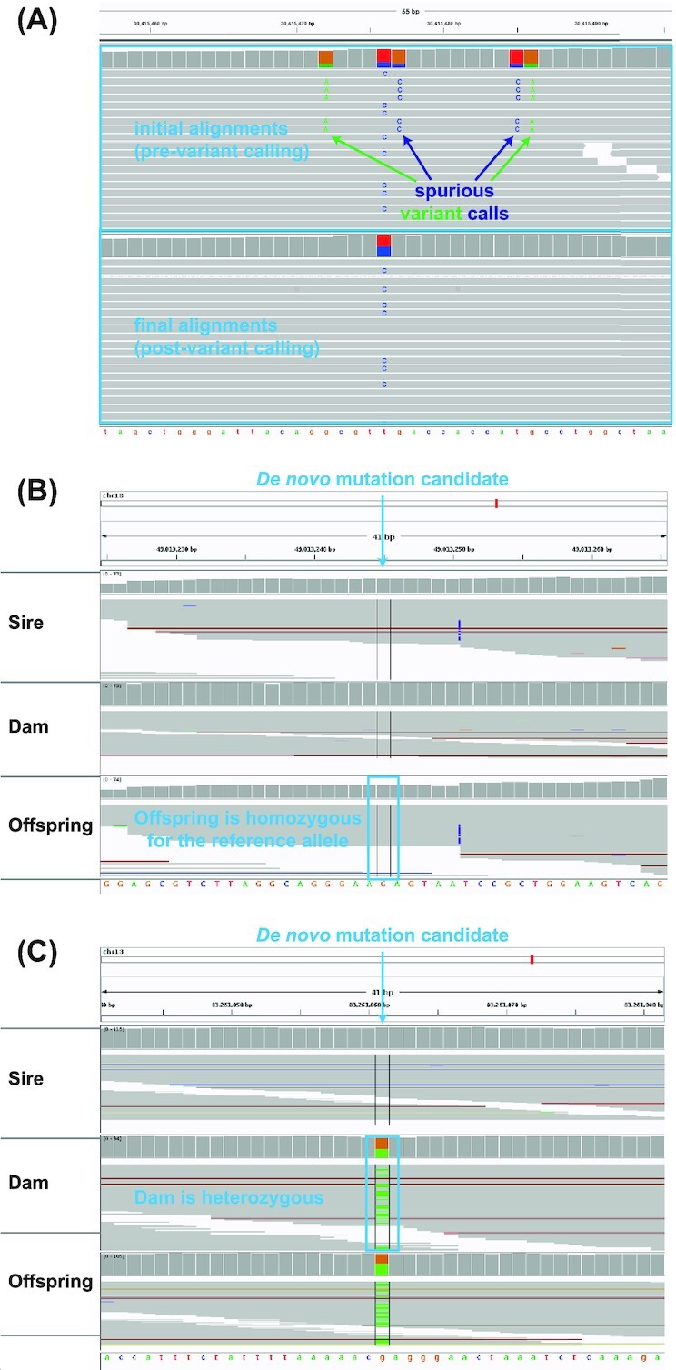 Figure 3: