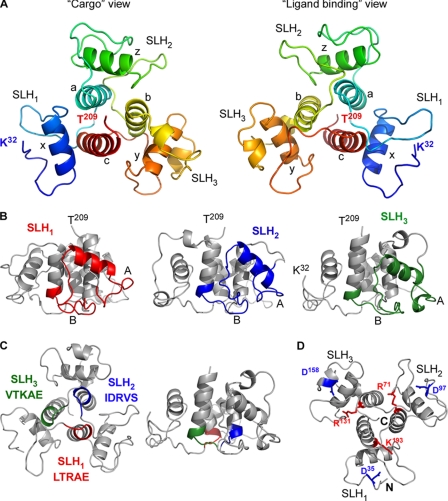 FIGURE 2.