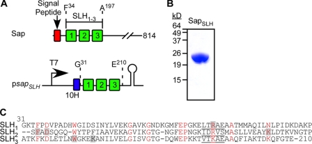 FIGURE 1.