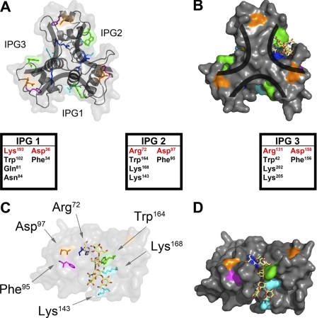 FIGURE 5.