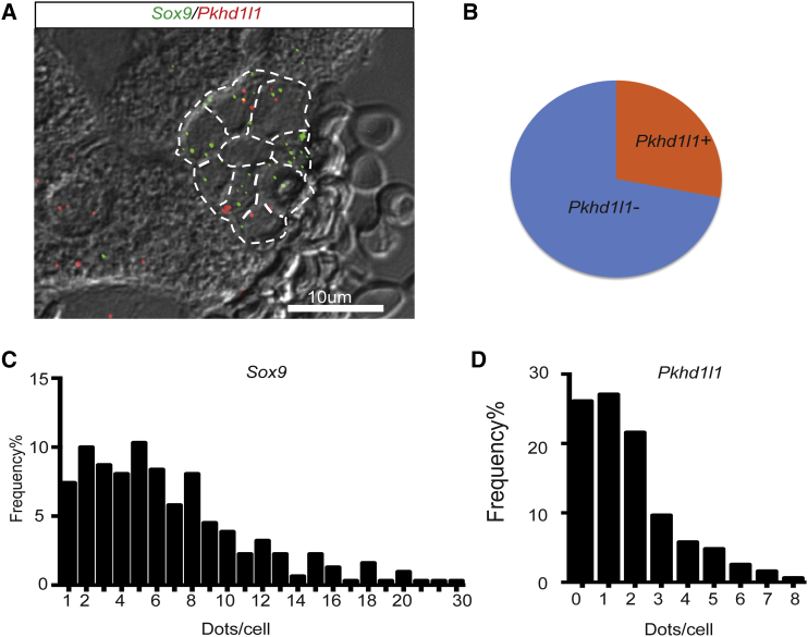 Figure 4